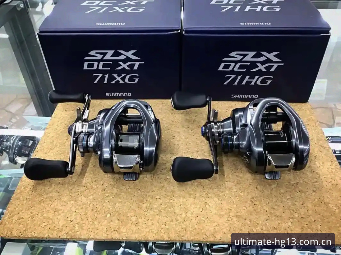 hg13体育平台如何重新定义极致体育竞技体验？